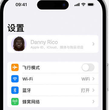 文殊镇appleID维修服务iPhone设置中Apple ID显示为灰色无法使用 