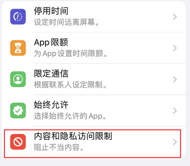 文殊镇appleID维修服务iPhone设置中Apple ID显示为灰色无法使用