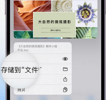 文殊镇apple维修中心分享iPhone文件应用中存储和找到下载文件