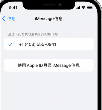 文殊镇apple维修iPhone上无法正常发送iMessage信息 