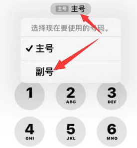 文殊镇苹果14维修店分享iPhone 14 Pro Max使用副卡打电话的方法 