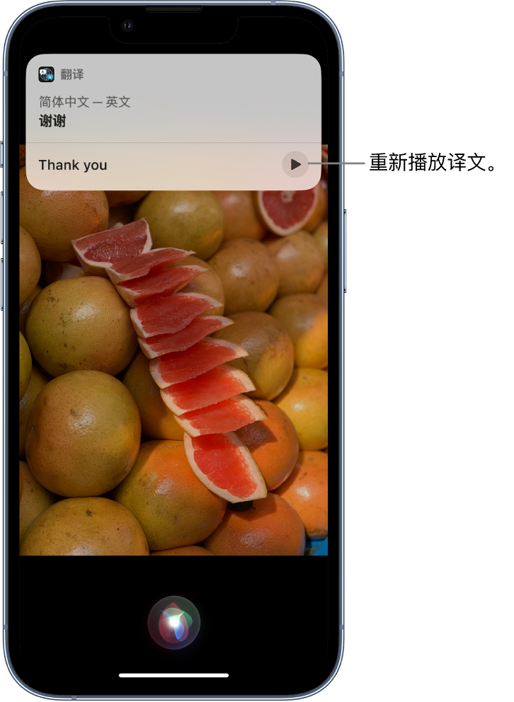 文殊镇苹果14维修分享 iPhone 14 机型中使用 Siri：了解 Siri 能帮你做什么 