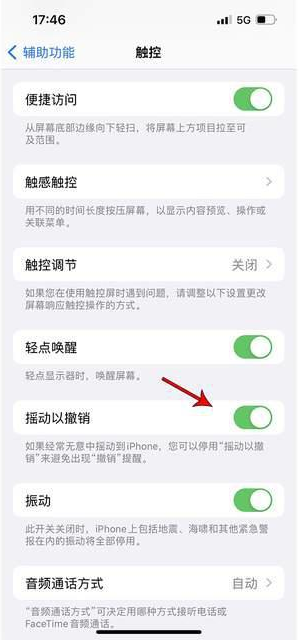 文殊镇苹果手机维修分享iPhone手机如何设置摇一摇删除文字 